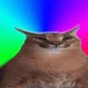 Meet your Posher, Tristan